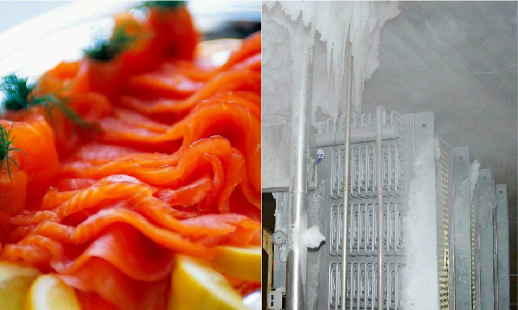 Filetert fisk og nedrimet fryseri (to bilder ved siden av hverandre)