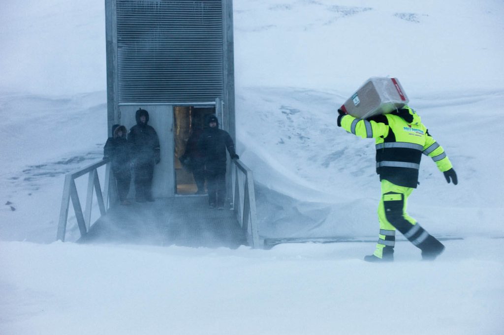 Fire personer står ved åpen dør inn til frøhvelvet, mens en femte kommer bærende med en kasse.